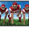 48" D-LED TV