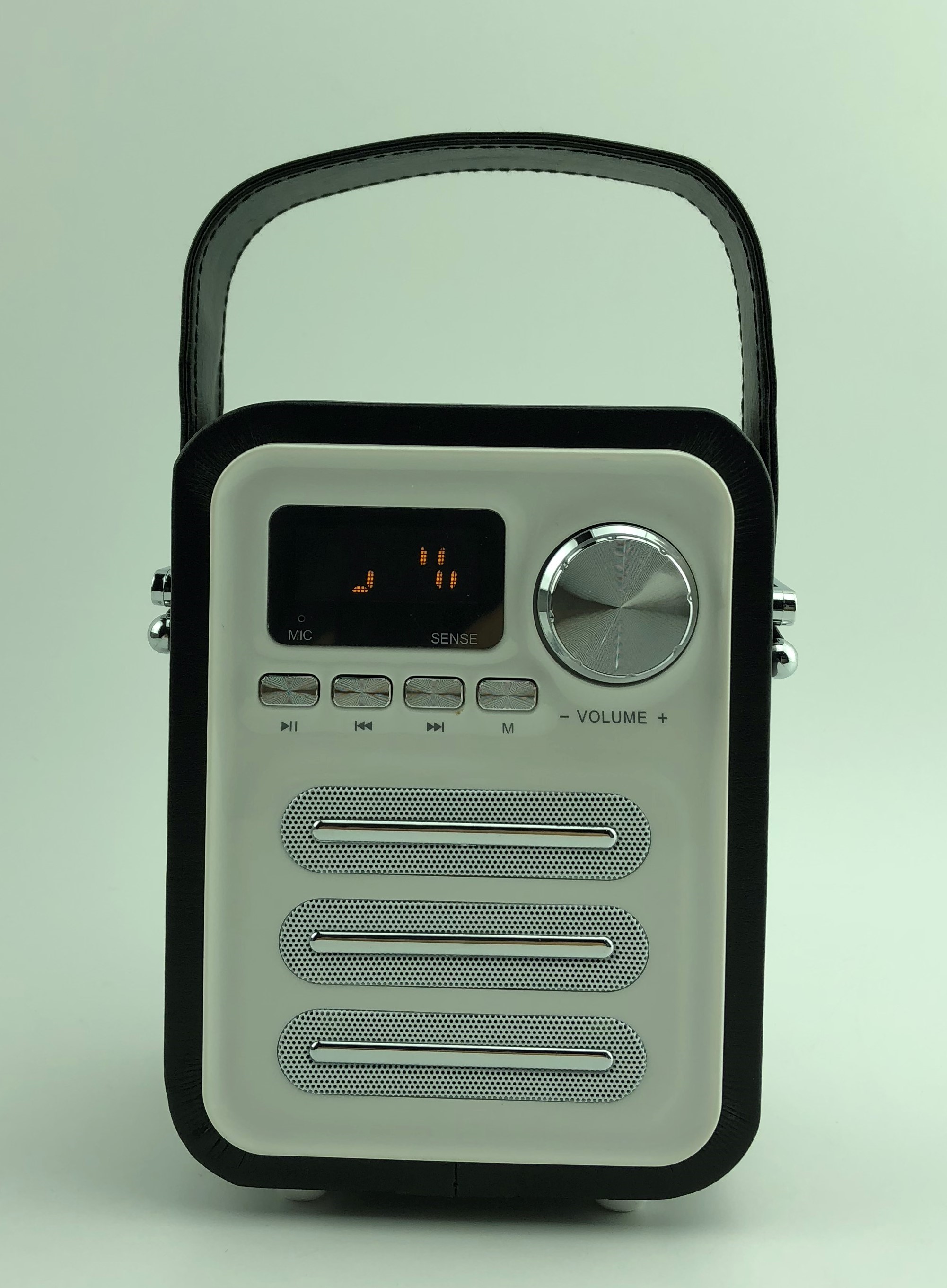 portable speaker fm radio